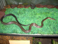 gal/07 - Sihanoukville/_thb_RIMG1990.jpg